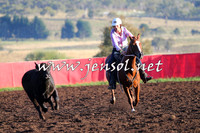 NimmitabelCampdraft2015_1032