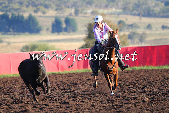 NimmitabelCampdraft2015_1032