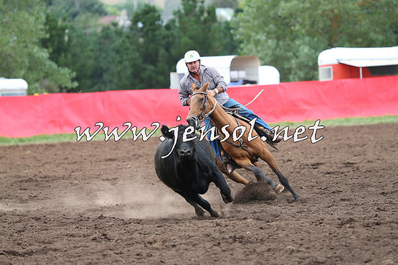 NimmitabelCampdraft2015_1711