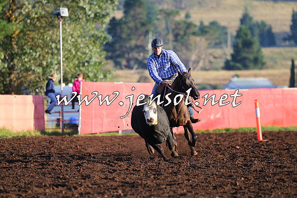 NimmitabelCampdraft2015_1006