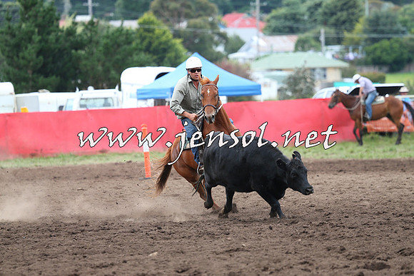 NimmitabelCampdraft2015_1666