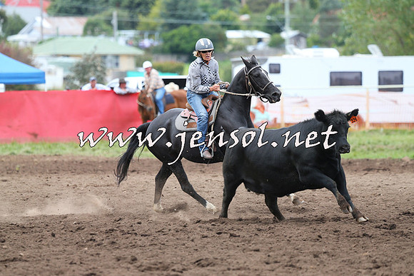 NimmitabelCampdraft2015_1611