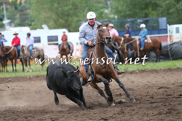 NimmitabelCampdraft2015_1703