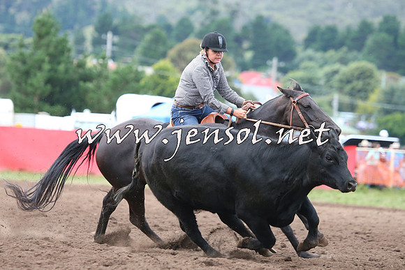 NimmitabelCampdraft2015_1563