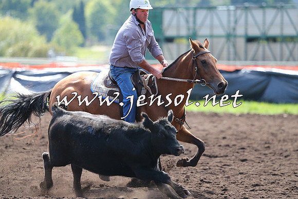 NimmitabelCampdraft2015_1109