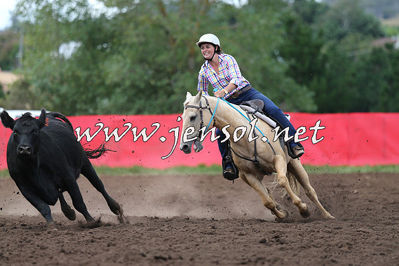 NimmitabelCampdraft2015_1560
