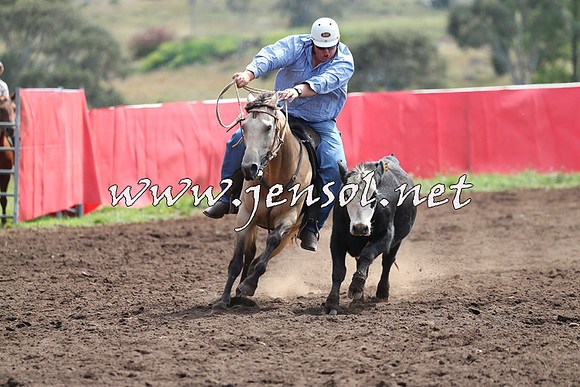 NimmitabelCampdraft2015_1207
