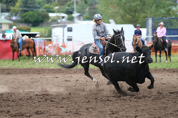 NimmitabelCampdraft2015_1610
