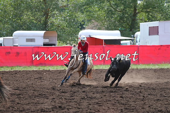 NimmitabelCampdraft2015_1156