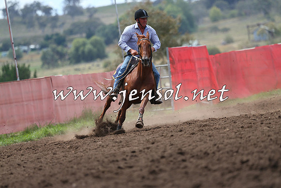 NimmitabelCampdraft2015_1602