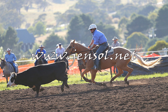 NimmitabelCampdraft2015_1087