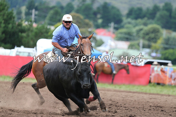 NimmitabelCampdraft2015_1592