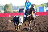 NimmitabelCampdraft2015_1003