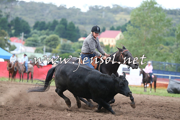 NimmitabelCampdraft2015_1568