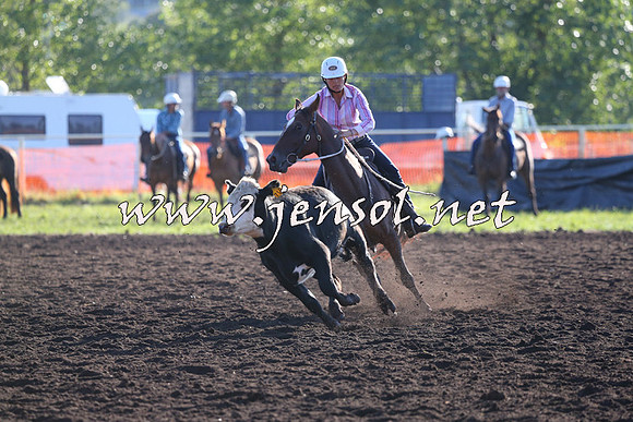 NimmitabelCampdraft2015_1069
