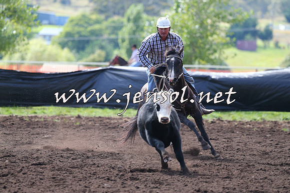 NimmitabelCampdraft2015_1117