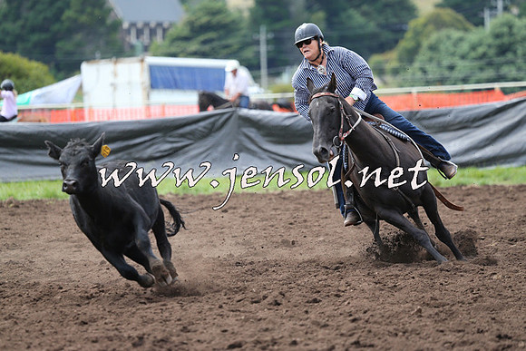 NimmitabelCampdraft2015_1263