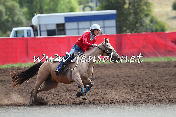 NimmitabelCampdraft2015_1148