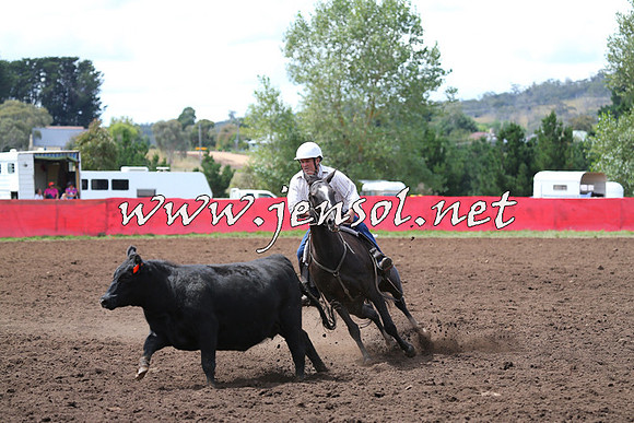 NimmitabelCampdraft2015_1503