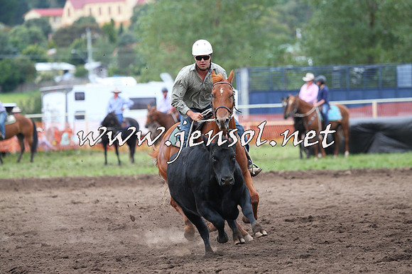 NimmitabelCampdraft2015_1671