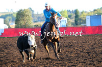 NimmitabelCampdraft2015_1002