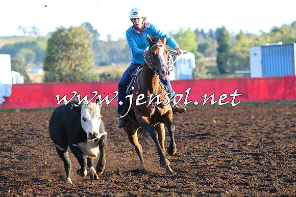 NimmitabelCampdraft2015_1002