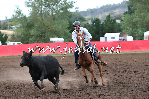 NimmitabelCampdraft2015_1721