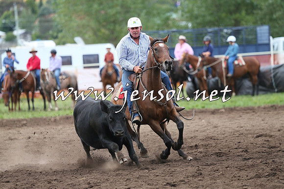 NimmitabelCampdraft2015_1696