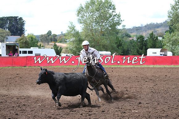 NimmitabelCampdraft2015_1501