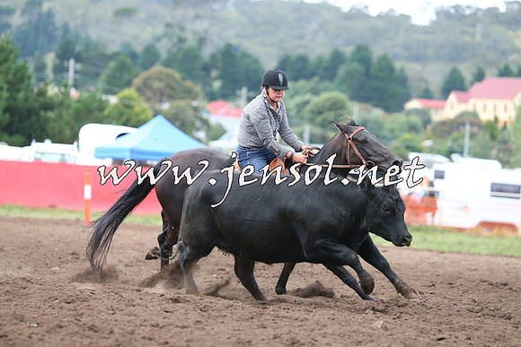 NimmitabelCampdraft2015_1562