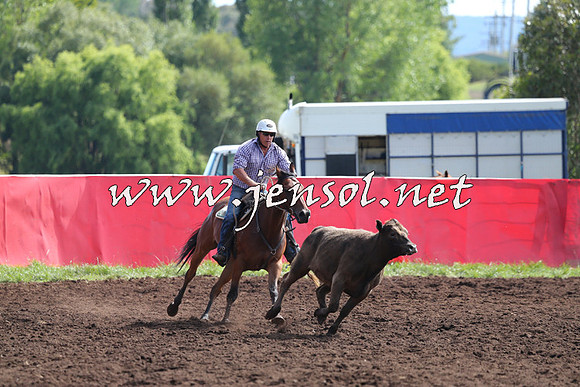 NimmitabelCampdraft2015_1101