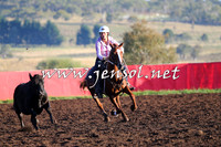 NimmitabelCampdraft2015_1027