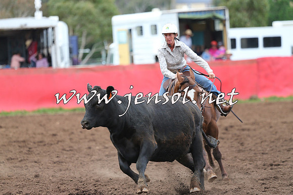 NimmitabelCampdraft2015_1656