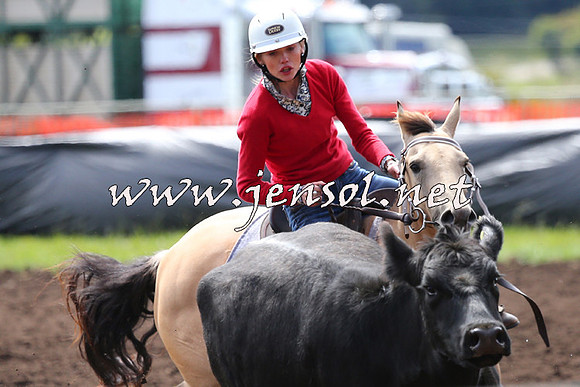 NimmitabelCampdraft2015_1151