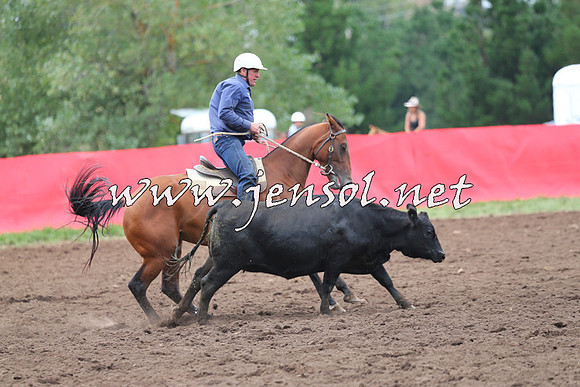 NimmitabelCampdraft2015_1653