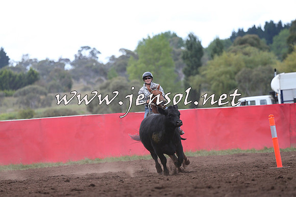 NimmitabelCampdraft2015_1522