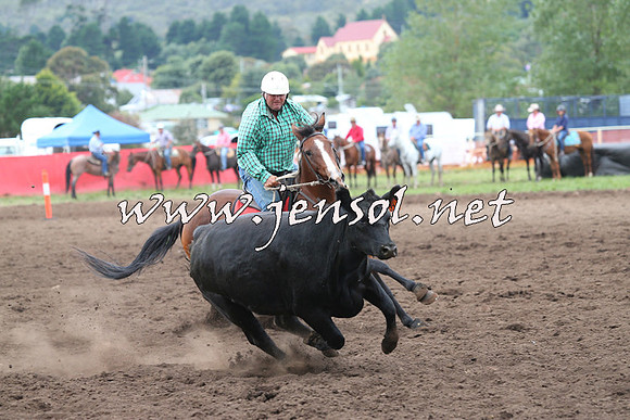 NimmitabelCampdraft2015_1686