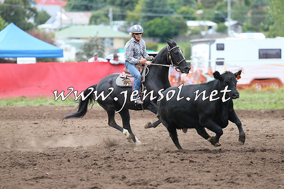 NimmitabelCampdraft2015_1614