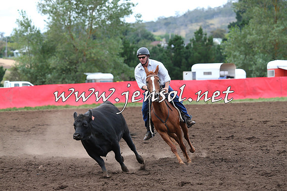 NimmitabelCampdraft2015_1719