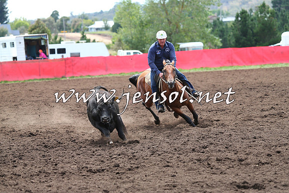NimmitabelCampdraft2015_1301