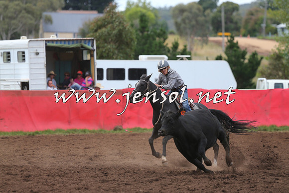 NimmitabelCampdraft2015_1627