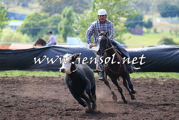 NimmitabelCampdraft2015_1115