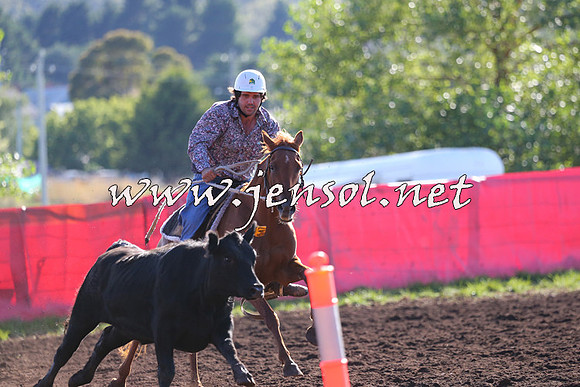 NimmitabelCampdraft2015_1094