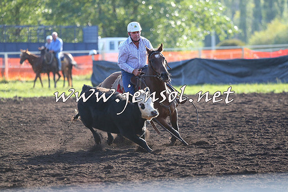 NimmitabelCampdraft2015_1053