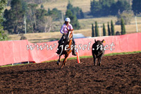 NimmitabelCampdraft2015_1041