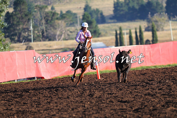 NimmitabelCampdraft2015_1041