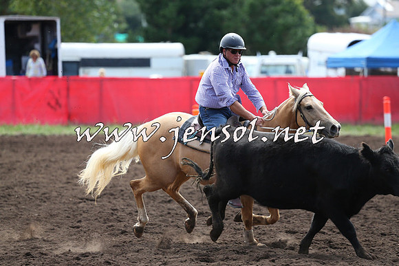 NimmitabelCampdraft2015_1227
