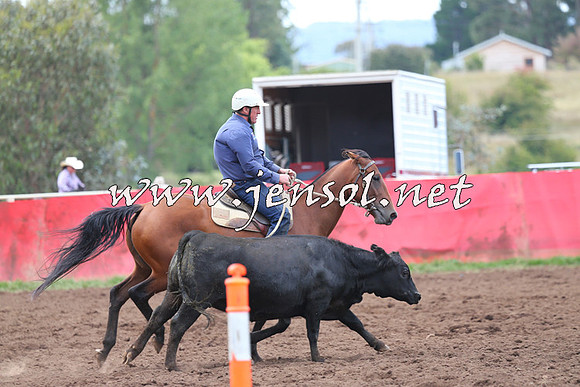 NimmitabelCampdraft2015_1650