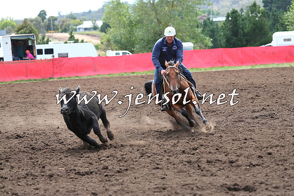 NimmitabelCampdraft2015_1296