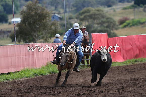 NimmitabelCampdraft2015_1196